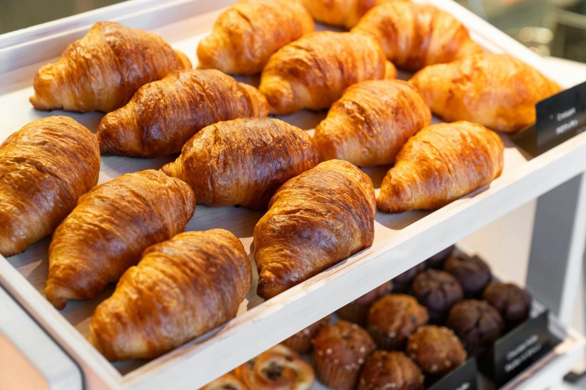 Courtyard By Marriott Fukui Hotel Ngoại thất bức ảnh